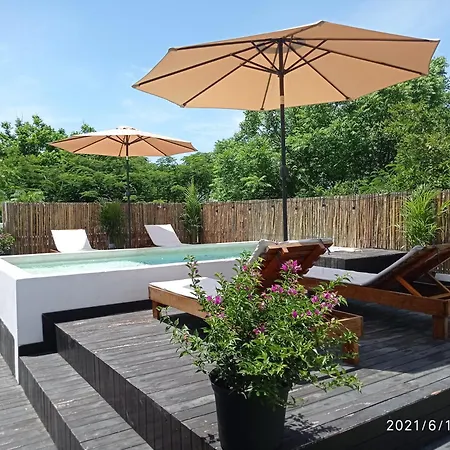 Che Suites Playa Adults Only